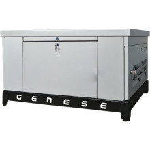 Газовый генератор Genese GE230 (в шумозащитном кожухе)