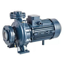 Консольно-моноблочный фланцевый насос PURITY PSTC 40-125/11 (N)